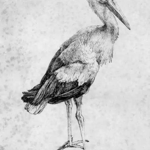 Painting 13 by Albrecht Dürer