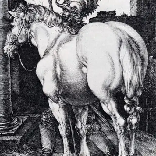 Painting 17 by Albrecht Dürer