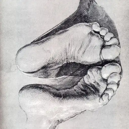 Painting 3 by Albrecht Dürer