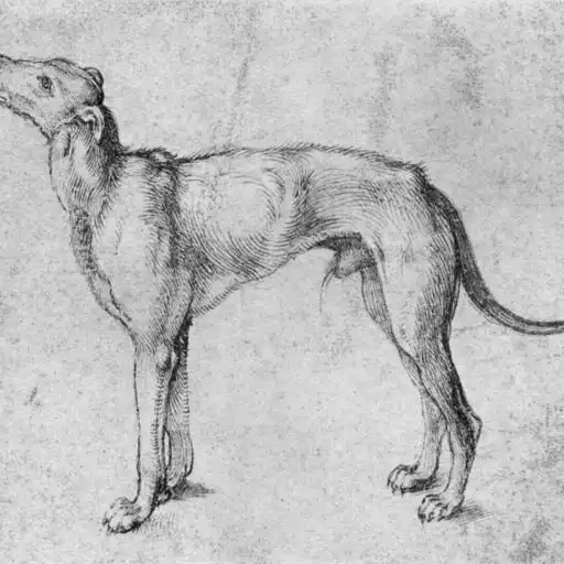 Painting 4 by Albrecht Dürer