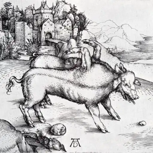 Painting 6 by Albrecht Dürer